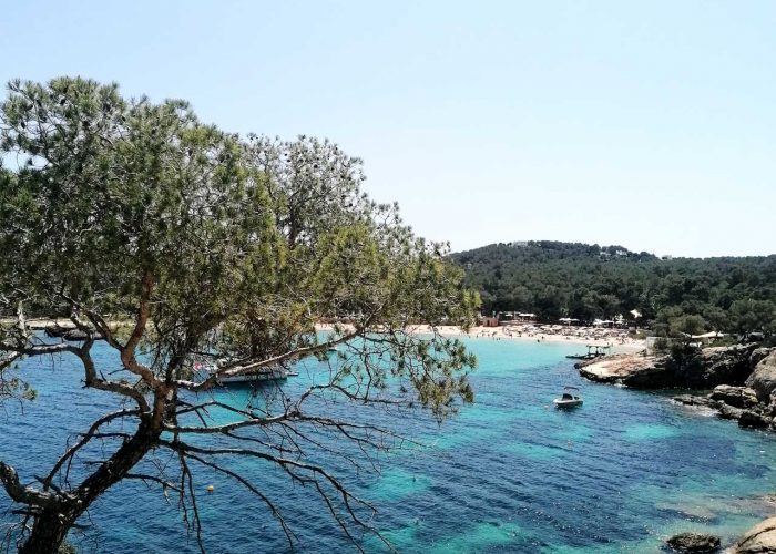 Cala-Bassa