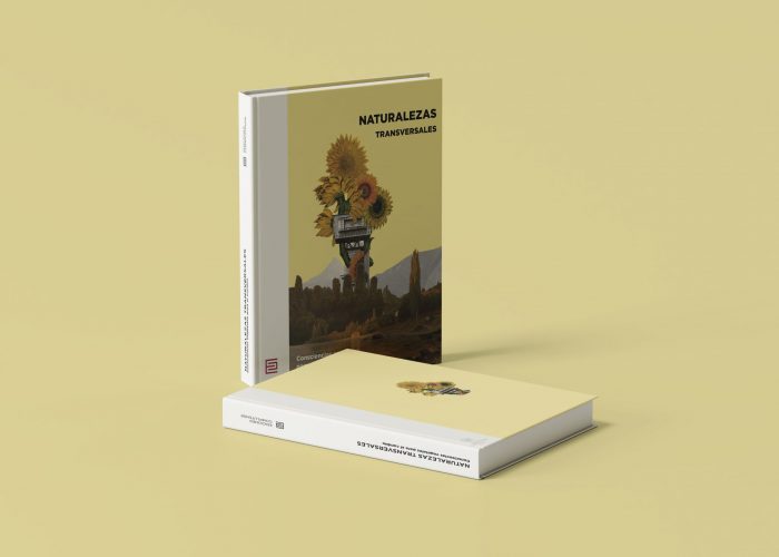 NT-Mockup